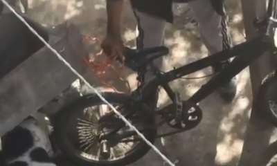 Denuncian a sujeto que atrapa perros callejeros para que sus pitbulls los mat3n (VIDEO)